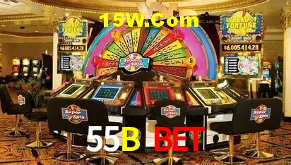 Experiência VIP 55B Bet