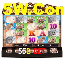 Live Casino 55B Bet